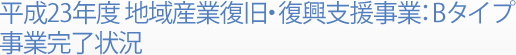 平成23年度 地域産業復旧・復興支援事業：Bタイプ 事業完了状況