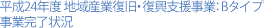 平成24年度 地域産業復旧・復興支援事業：Bタイプ 事業完了状況