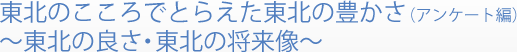 東北のこころでとらえた東北の豊かさ(アンケート編)～東北の良さ・東北の将来像～