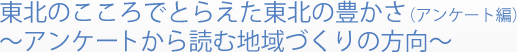 東北のこころでとらえた東北の豊かさ(アンケート編)～アンケートから読む地域づくりの方向～